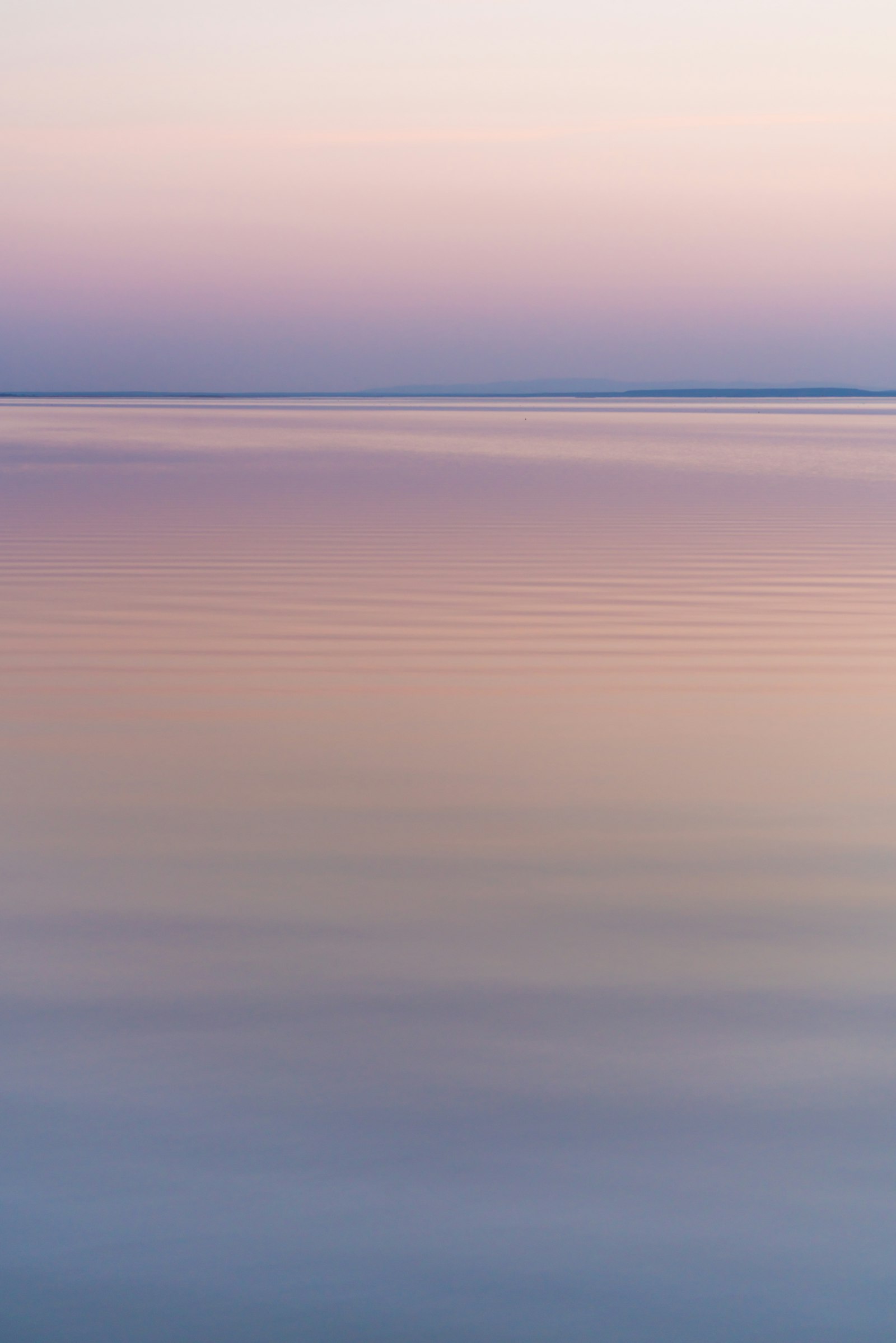 Neusiedler See im Burgenland bei Abendlicht