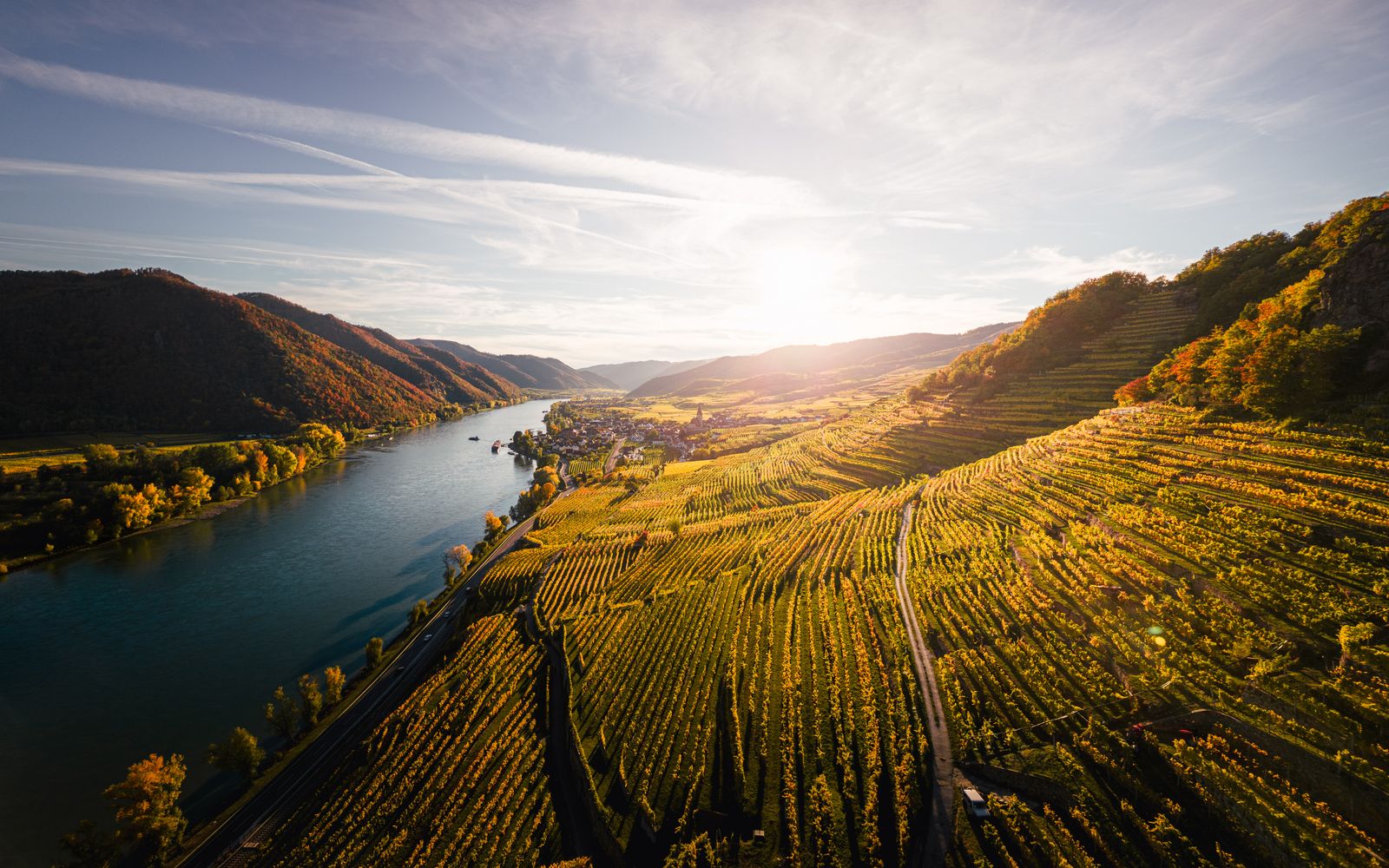 Wachau in Niederösterreich mit Donau und Weinbergen